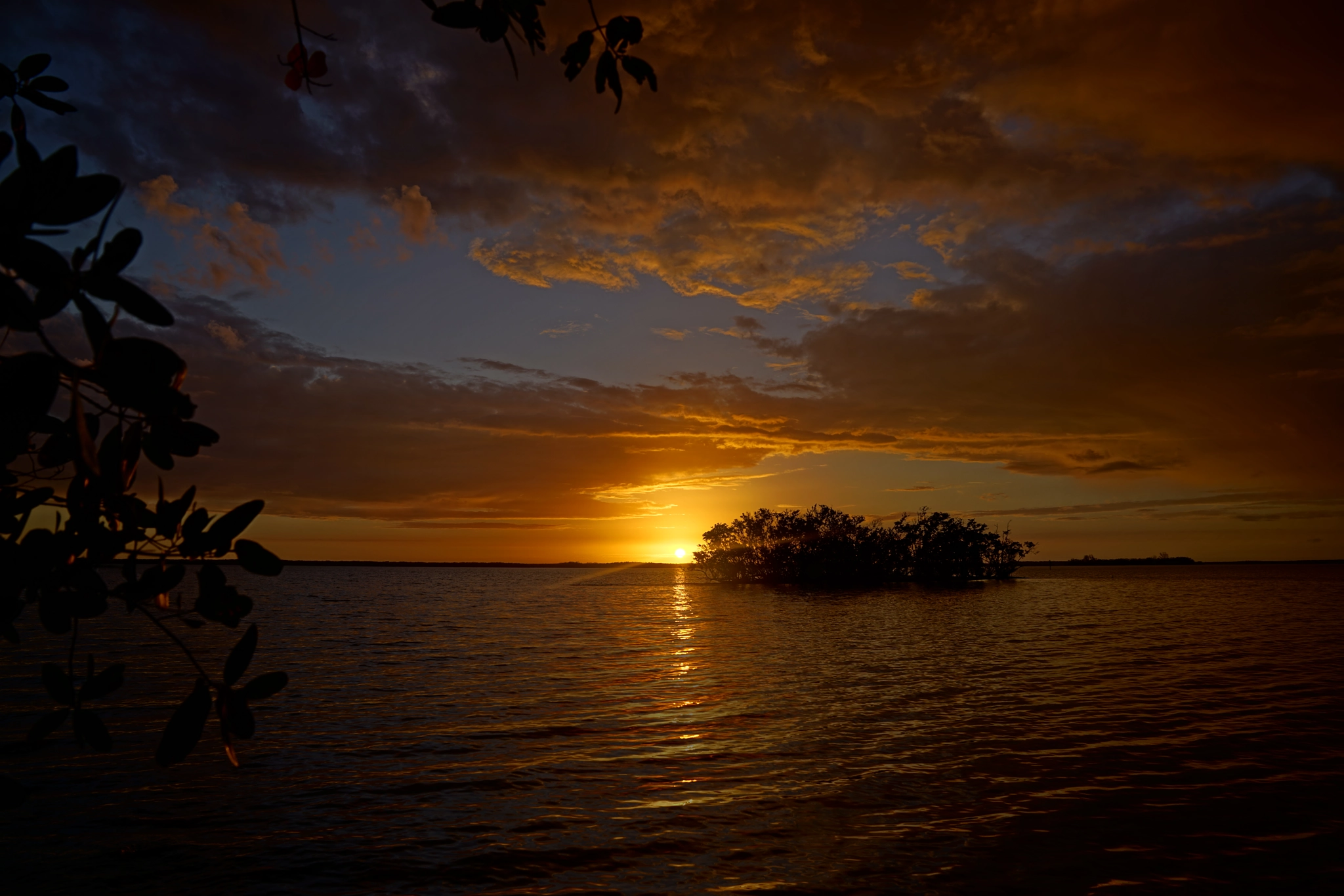 Sony a7R II + Sony FE 24-70mm F2.8 GM sample photo. Good evening everglades  2/25/2018 photography