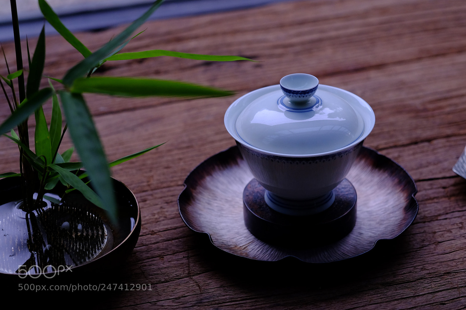 Fujifilm X-T1 sample photo. 花开·寒梅 photography