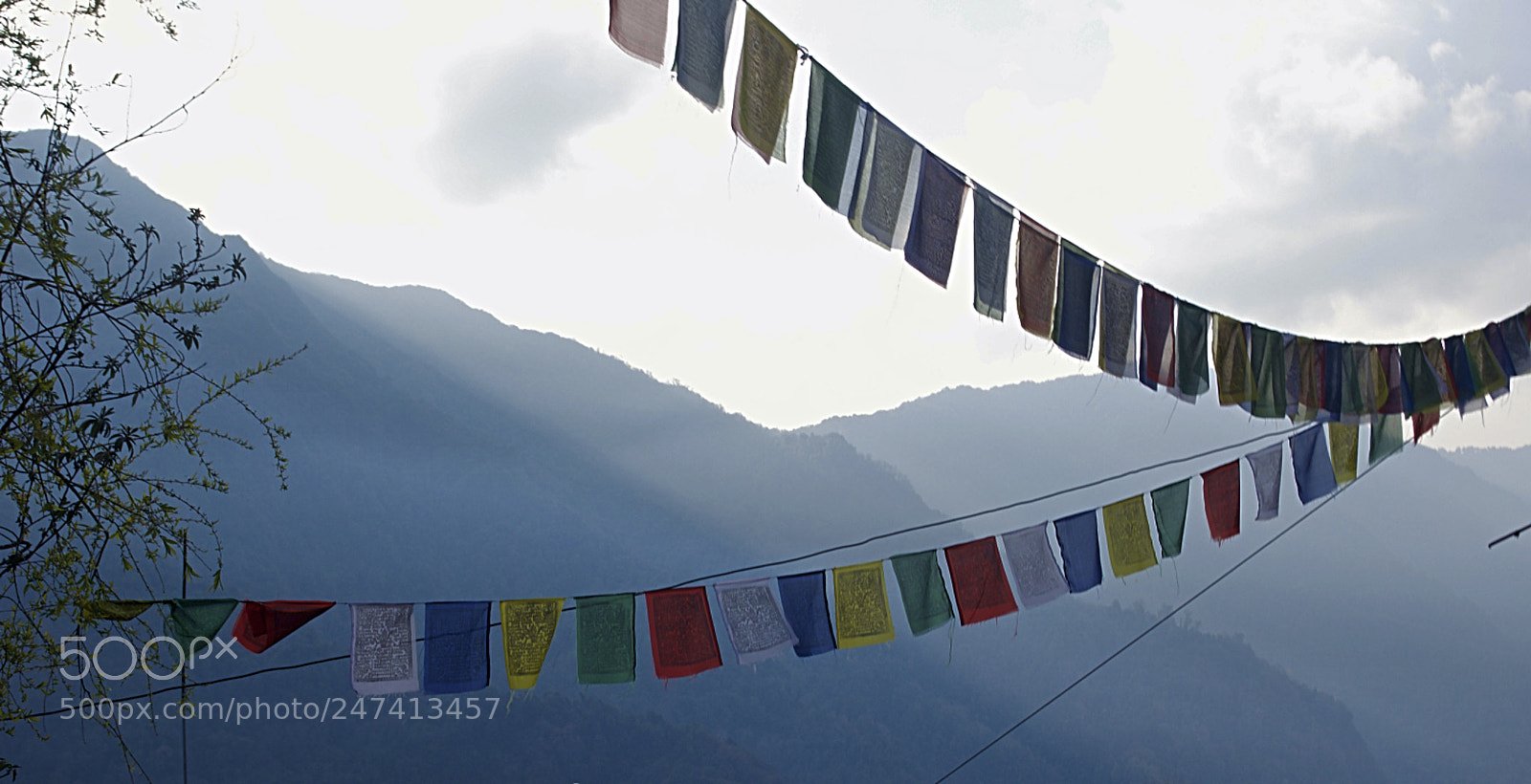 Nikon D5100 sample photo. Fotor photography