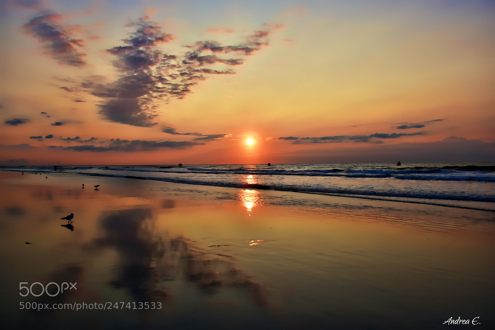 Nikon D7200 sample photo. A wildwood sunrise 2 photography
