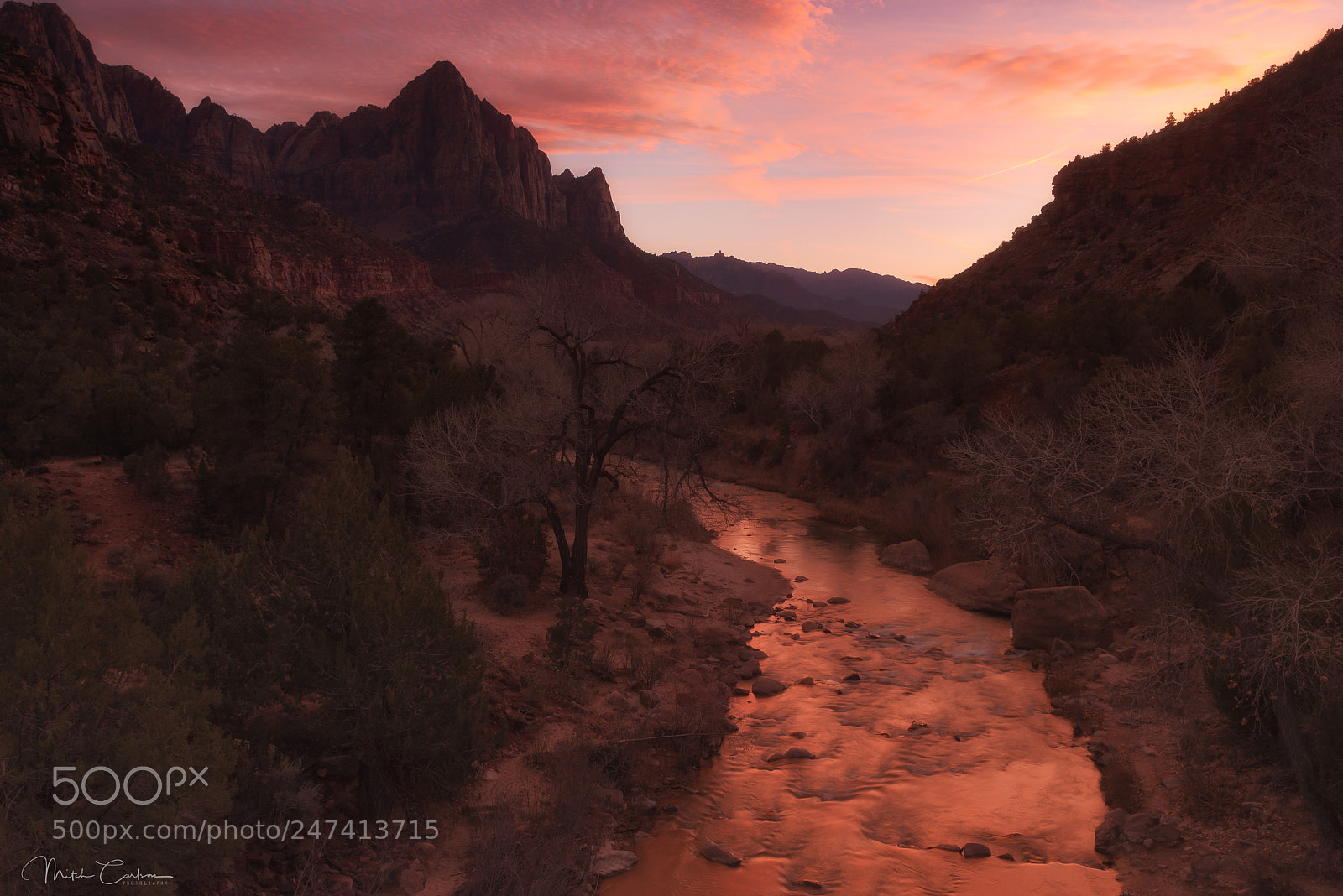 Nikon D800E sample photo. Sunset zion photography