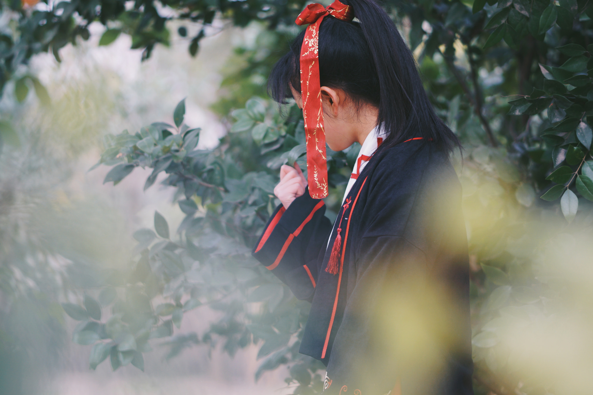ZEISS Batis 85mm F1.8 sample photo