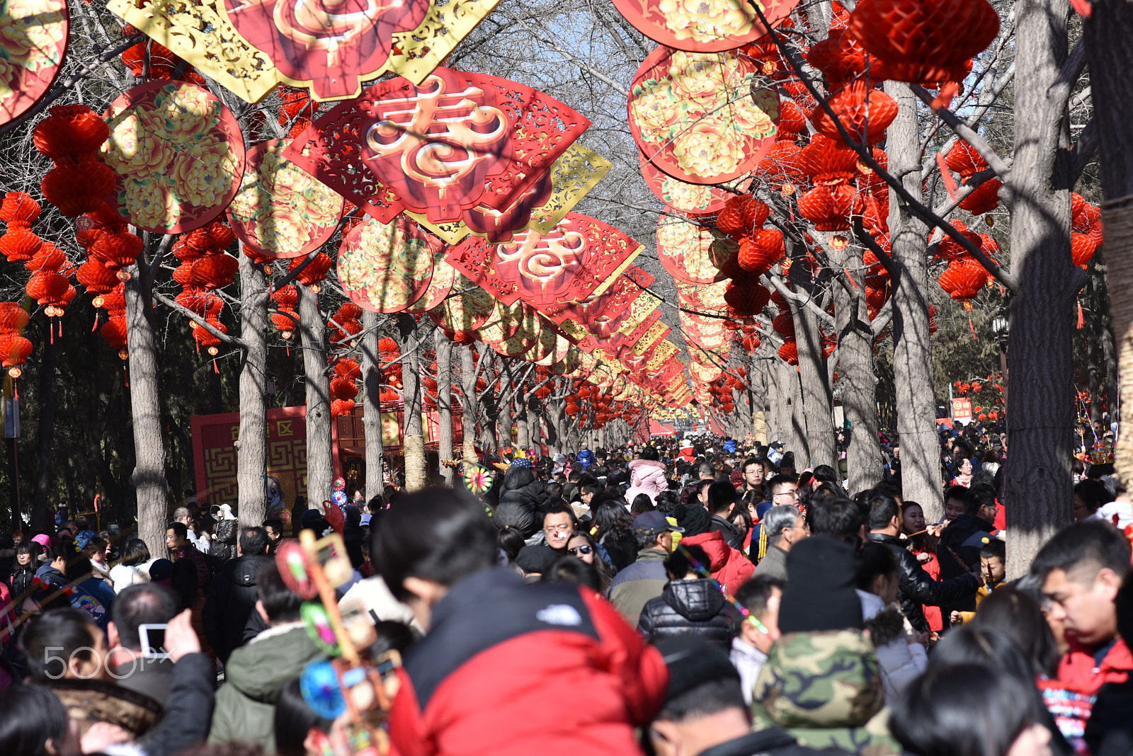 Nikon D750 + Nikon AF-S Nikkor 85mm F1.8G sample photo. Happy lunar new year photography