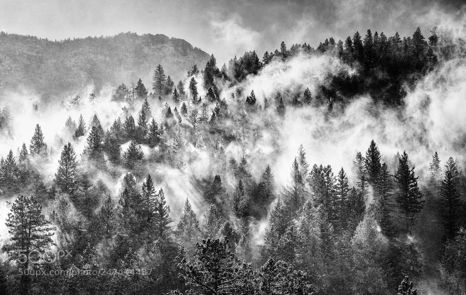 Nikon D850 sample photo. Winds of winter photography