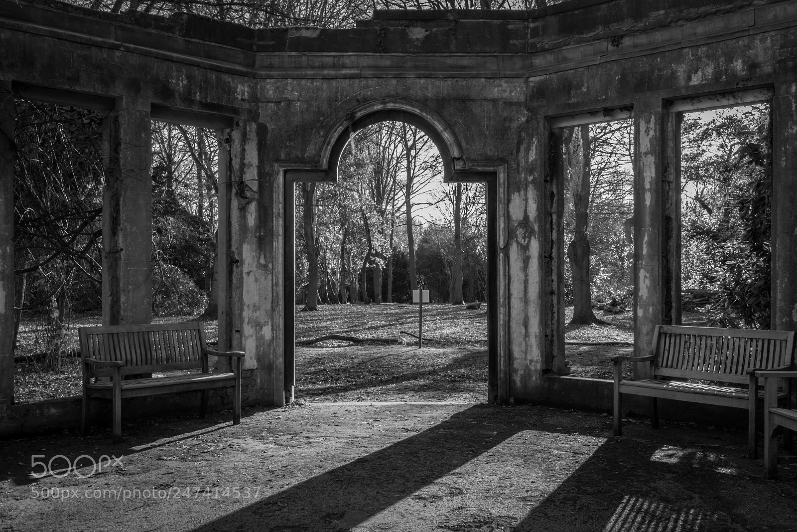 Canon EOS 7D Mark II sample photo. Warley place photography