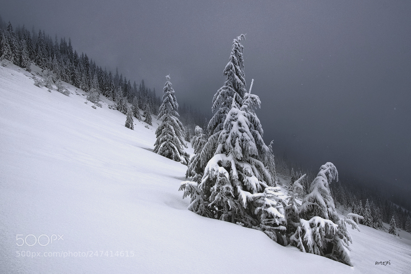 Pentax K-3 sample photo. Pod bocianskym sedlom photography