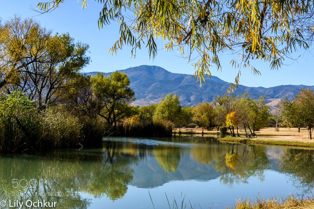 Nikon D3400 sample photo. Cottonwood photography
