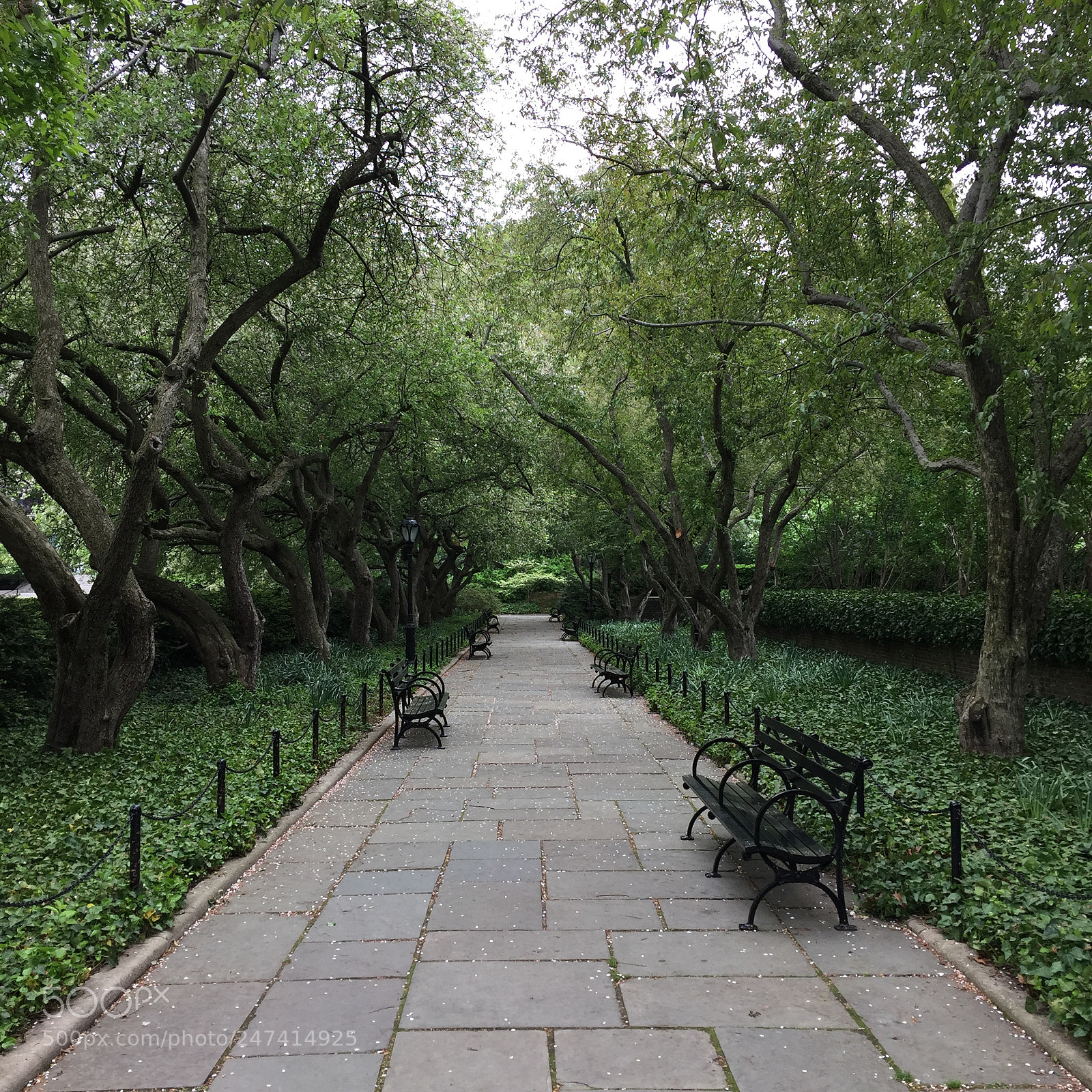 Apple iPhone 6 sample photo. Dbfcebbf edfbafc photography