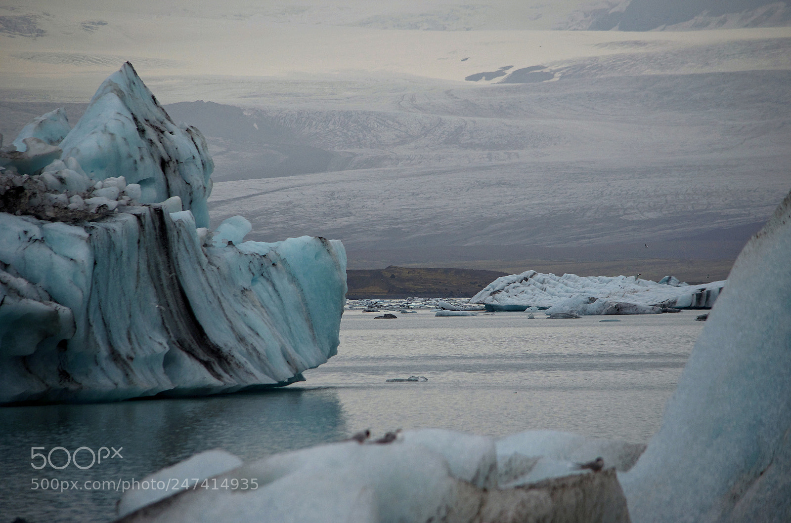 Nikon D5100 sample photo. Iceberg photography