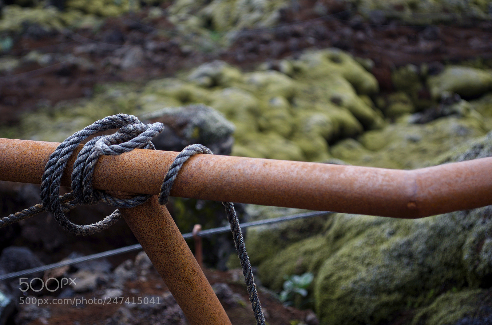 Nikon D5100 sample photo. Rope photography