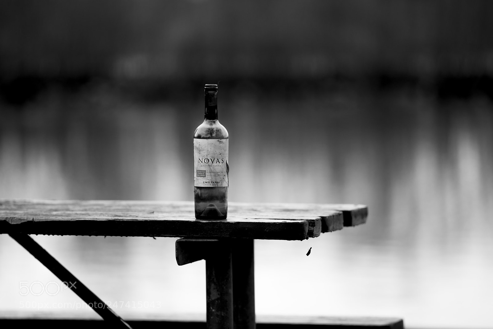 Nikon D610 sample photo. Only the lonely photography