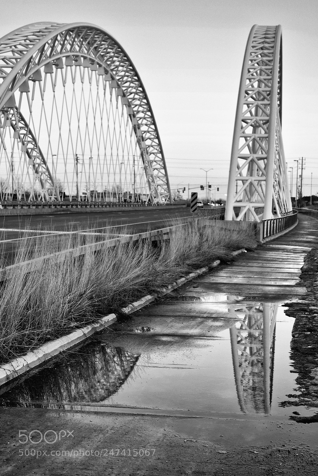 Nikon D610 sample photo. Life of a bridge photography