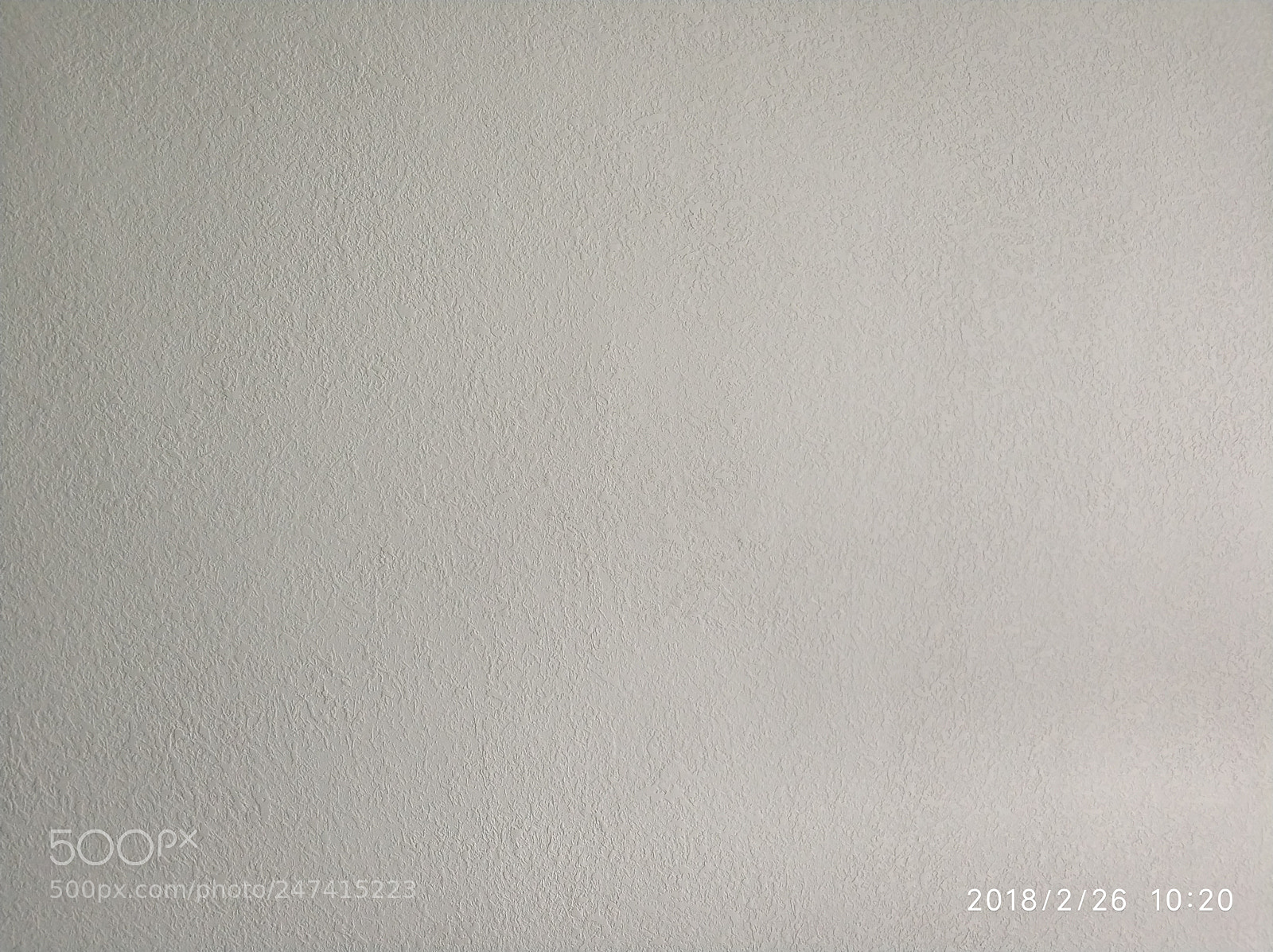Xiaomi MI6 sample photo. Untitled photography