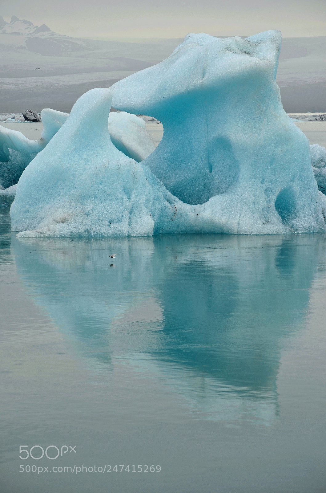 Nikon D5100 sample photo. Iceberg photography