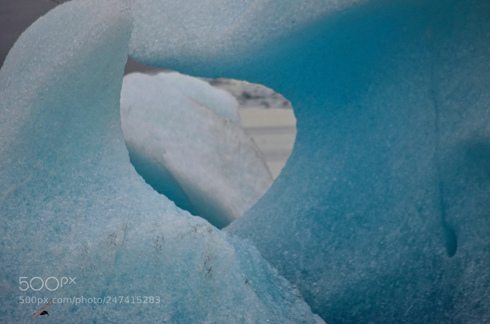 Nikon D5100 sample photo. Ice photography