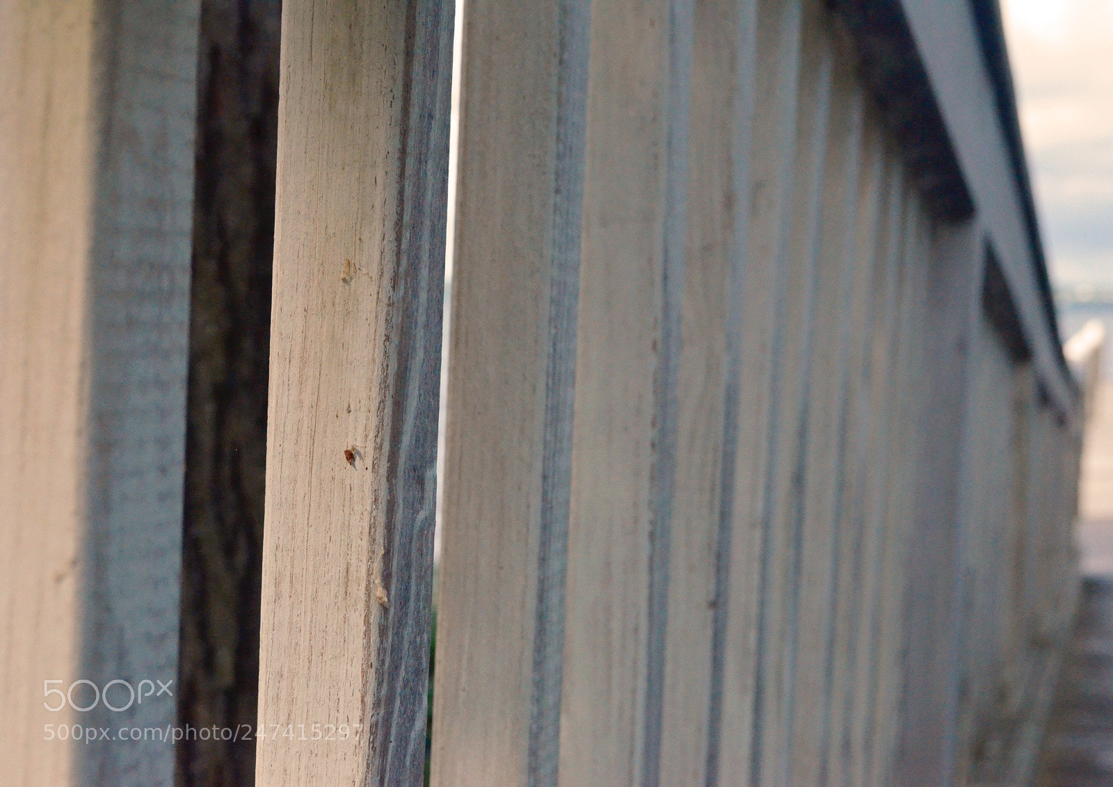 Nikon D5100 sample photo. Bridge photography