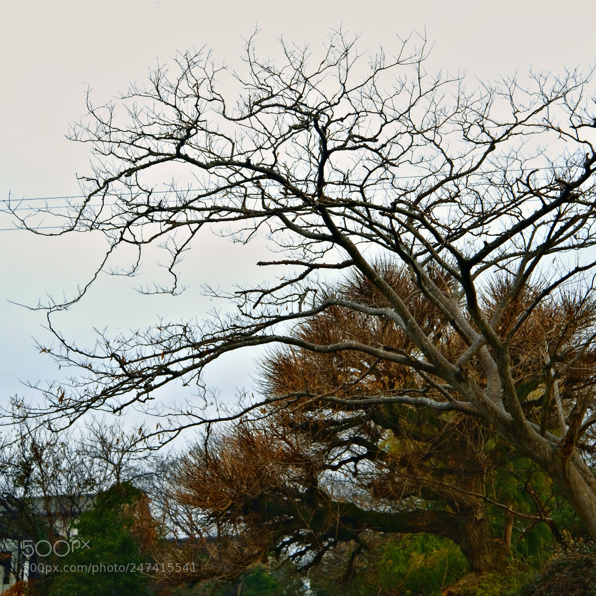Fujifilm X-T2 sample photo. Untitled photography