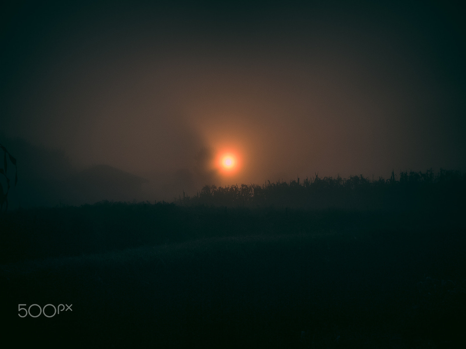 Olympus PEN E-P1 sample photo. Moody sunrise photography