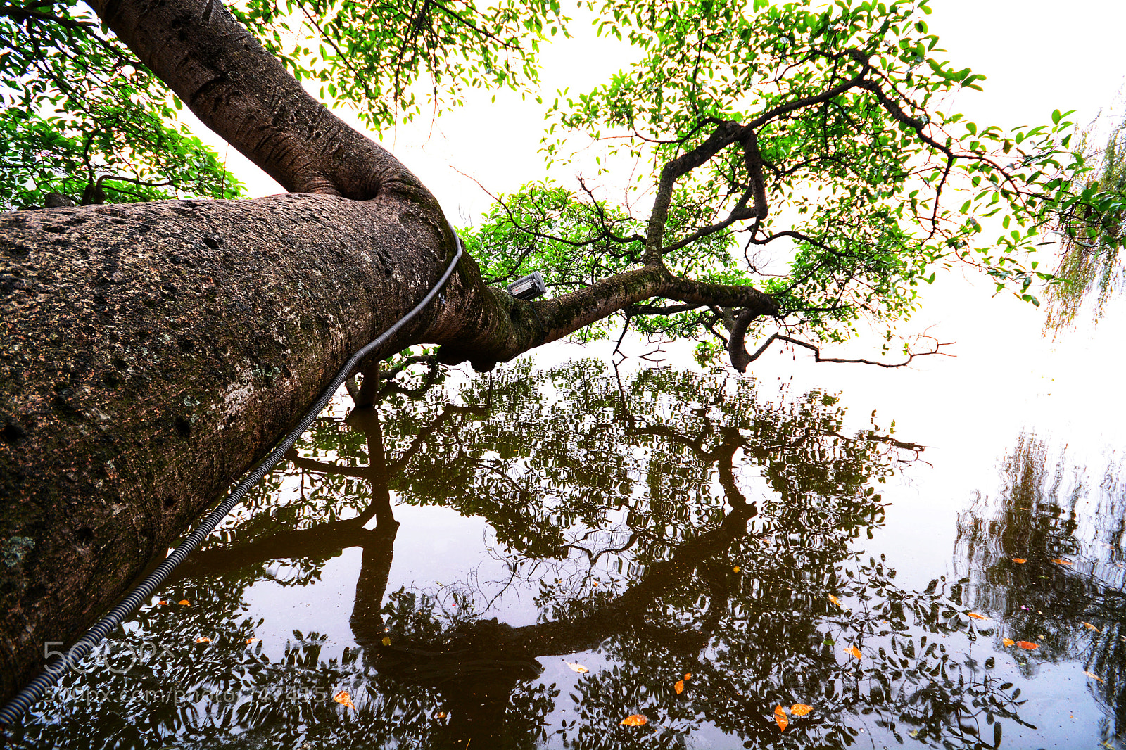 Nikon D7100 sample photo. Untitled photography