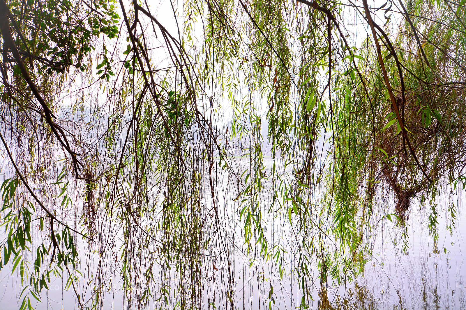Nikon D7100 sample photo. Untitled photography