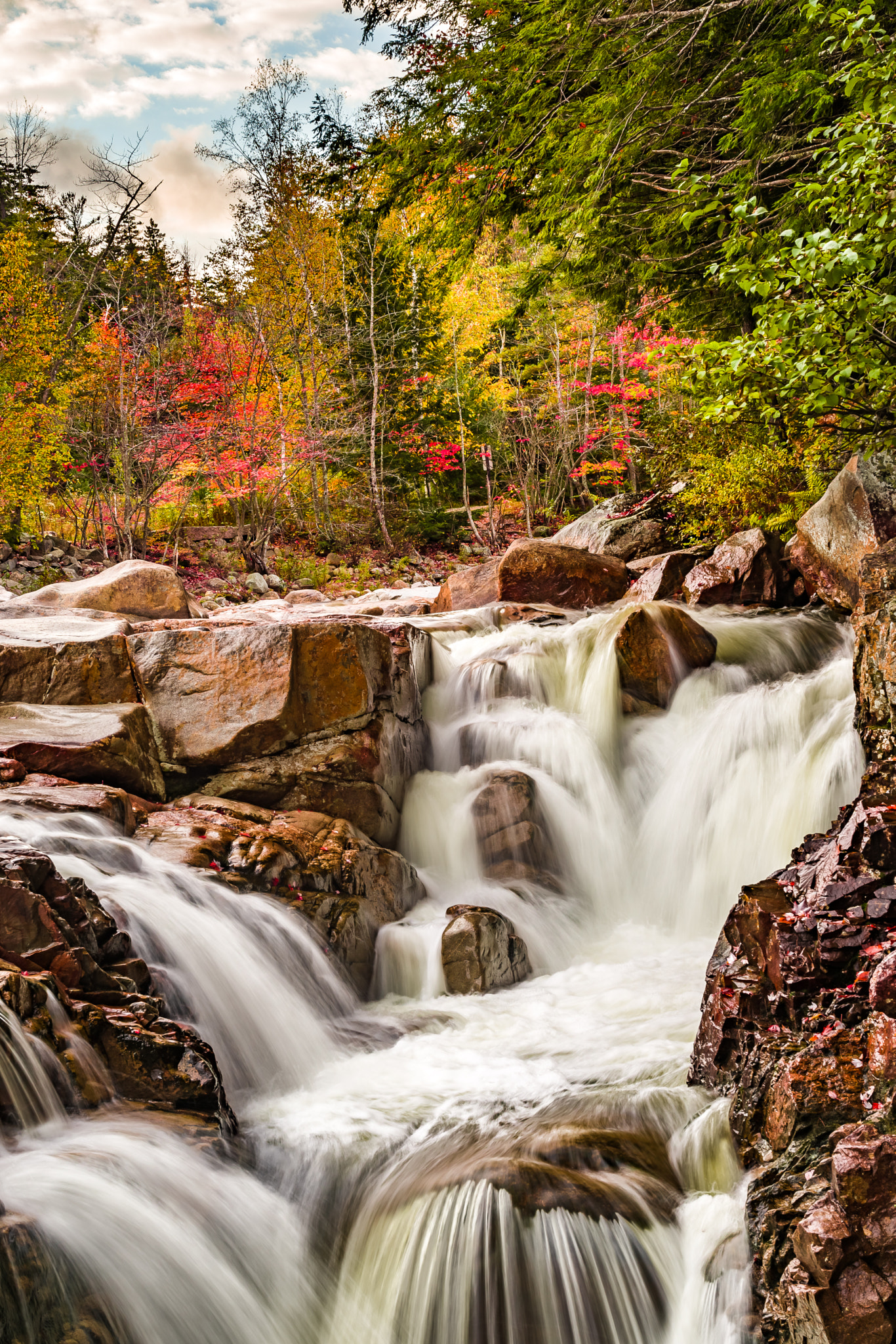 Leica TL2 sample photo. Fall foliage photography