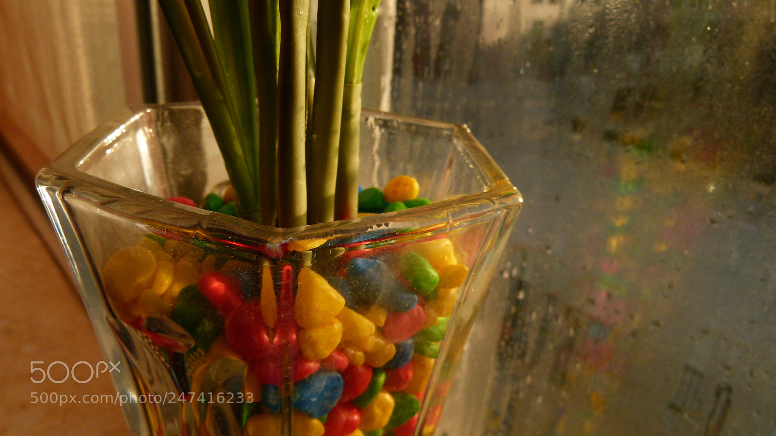 Leica V-Lux 2 sample photo. Untitled photography