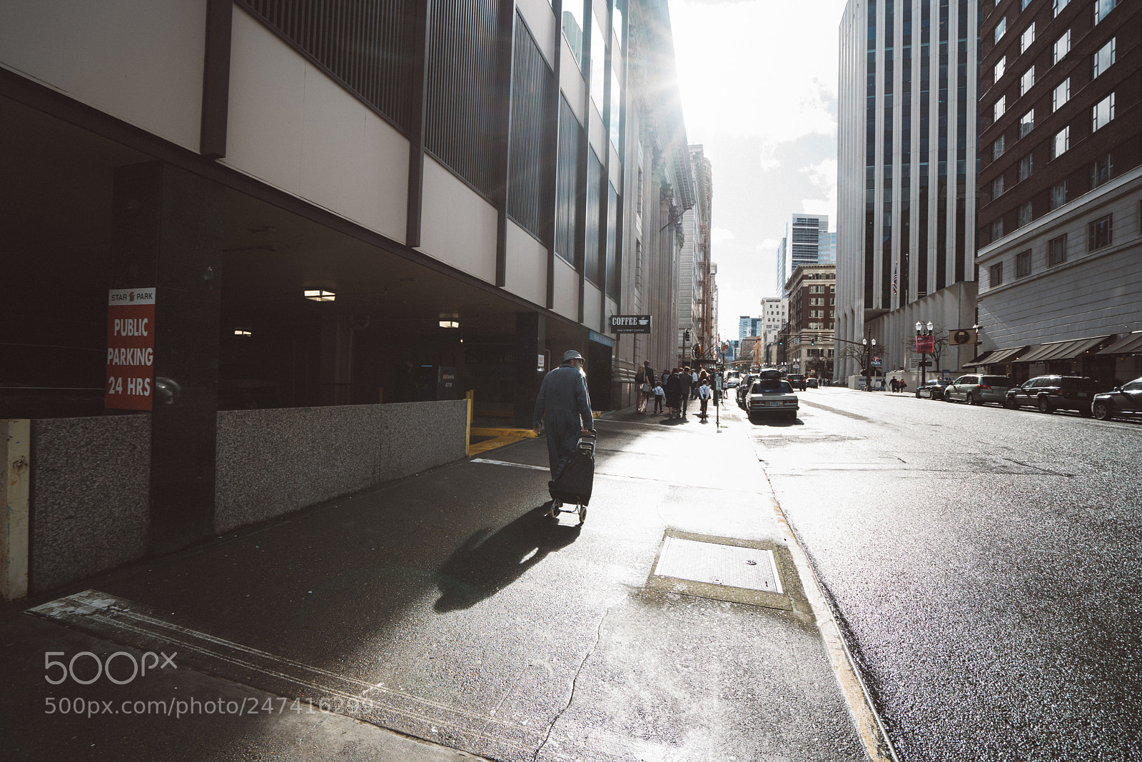 Sony a7R II sample photo. Dsc photography