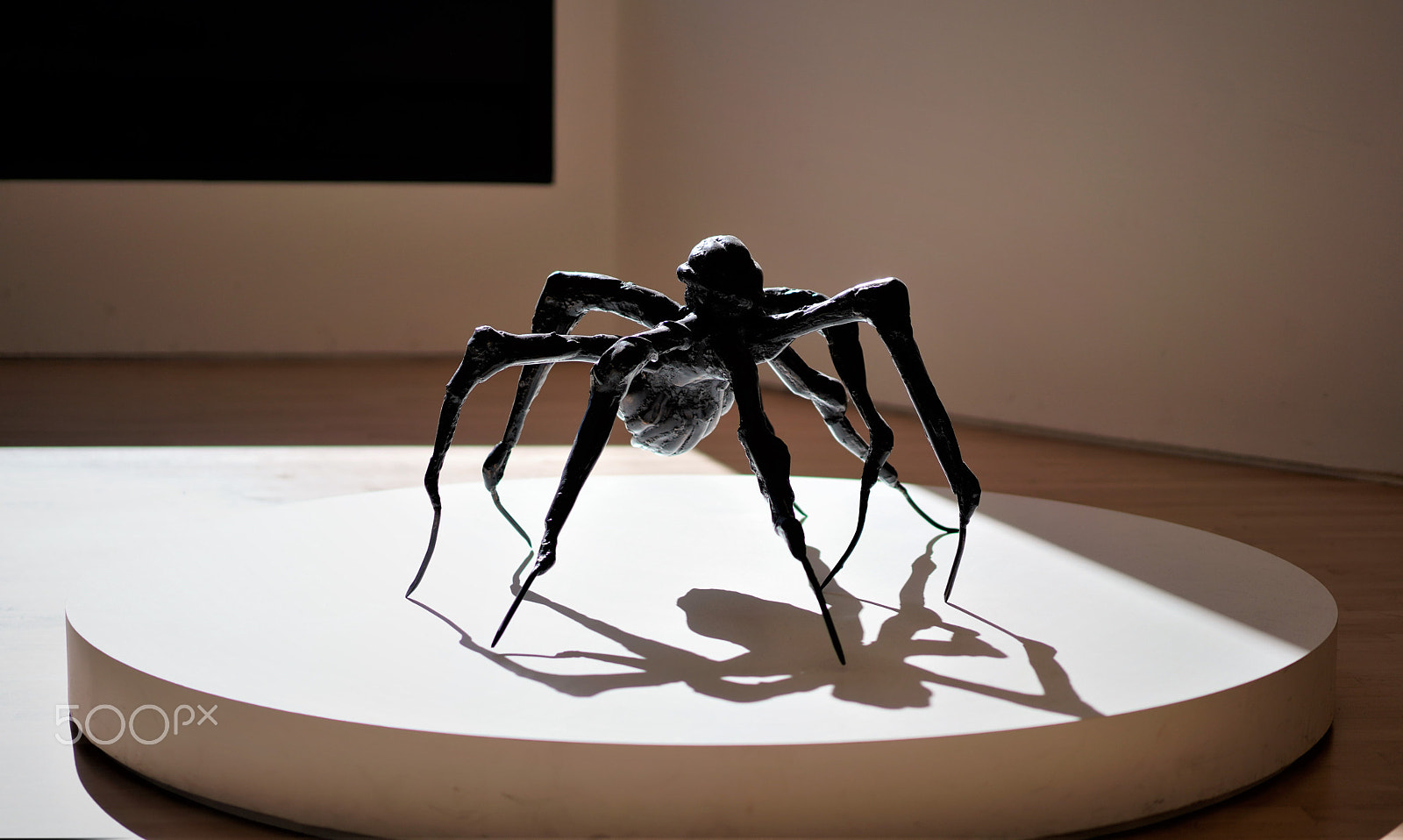 Sony a7R III + Sony Sonnar T* FE 55mm F1.8 ZA sample photo. Spider_dance photography