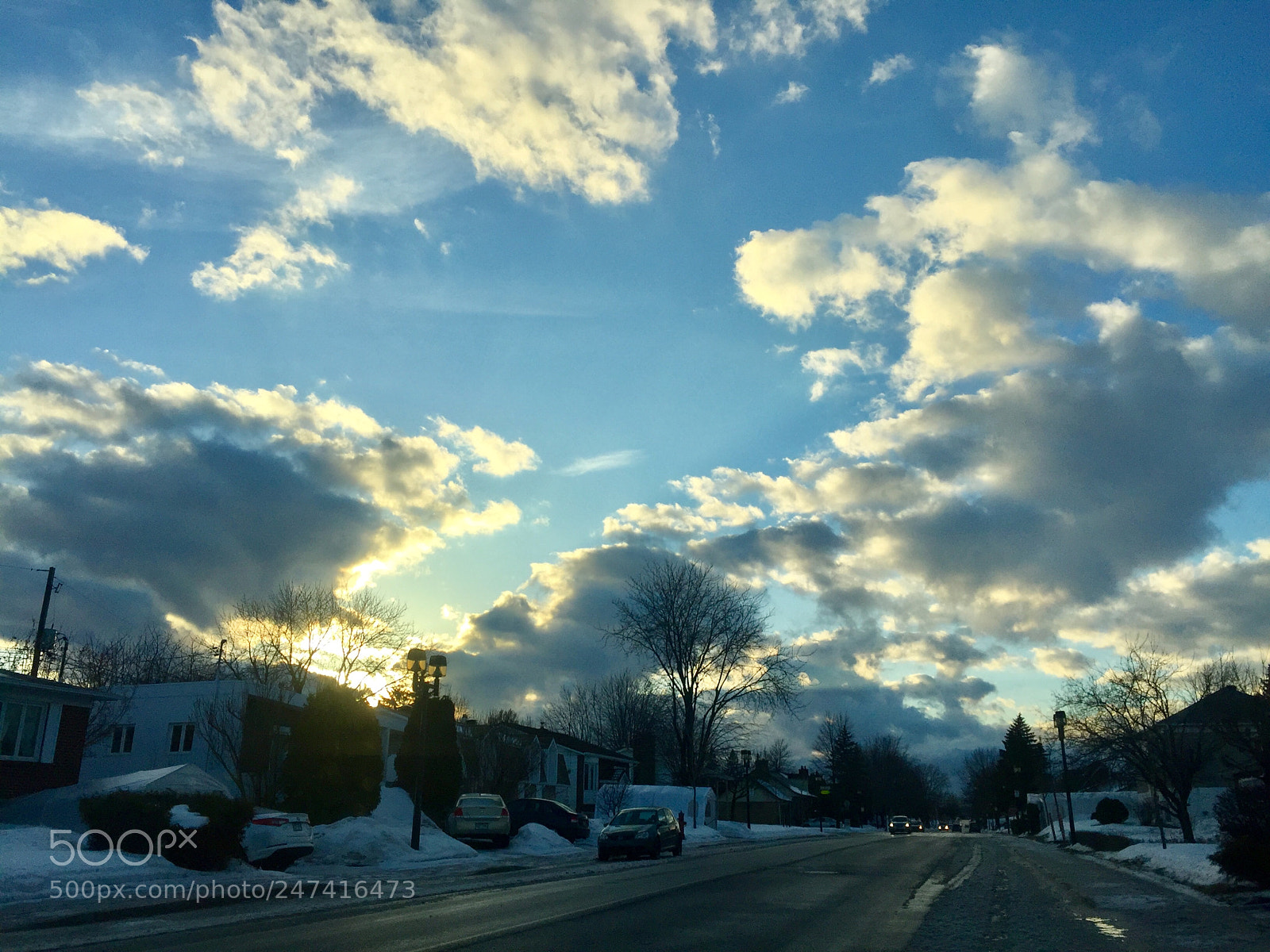 Apple iPhone 6 Plus sample photo. Untitled photography