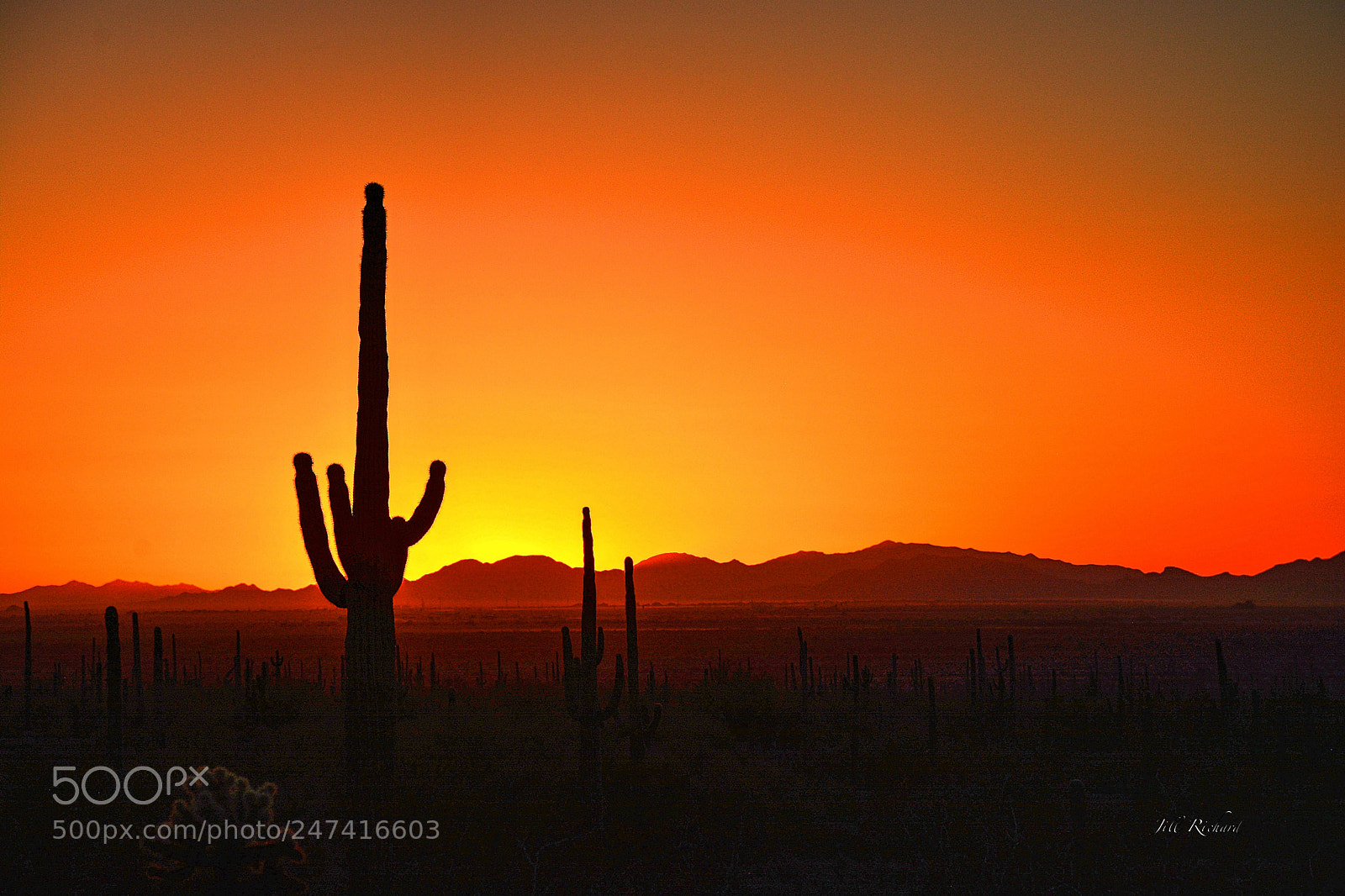 Nikon D7100 sample photo. Sunset at picacho peak photography