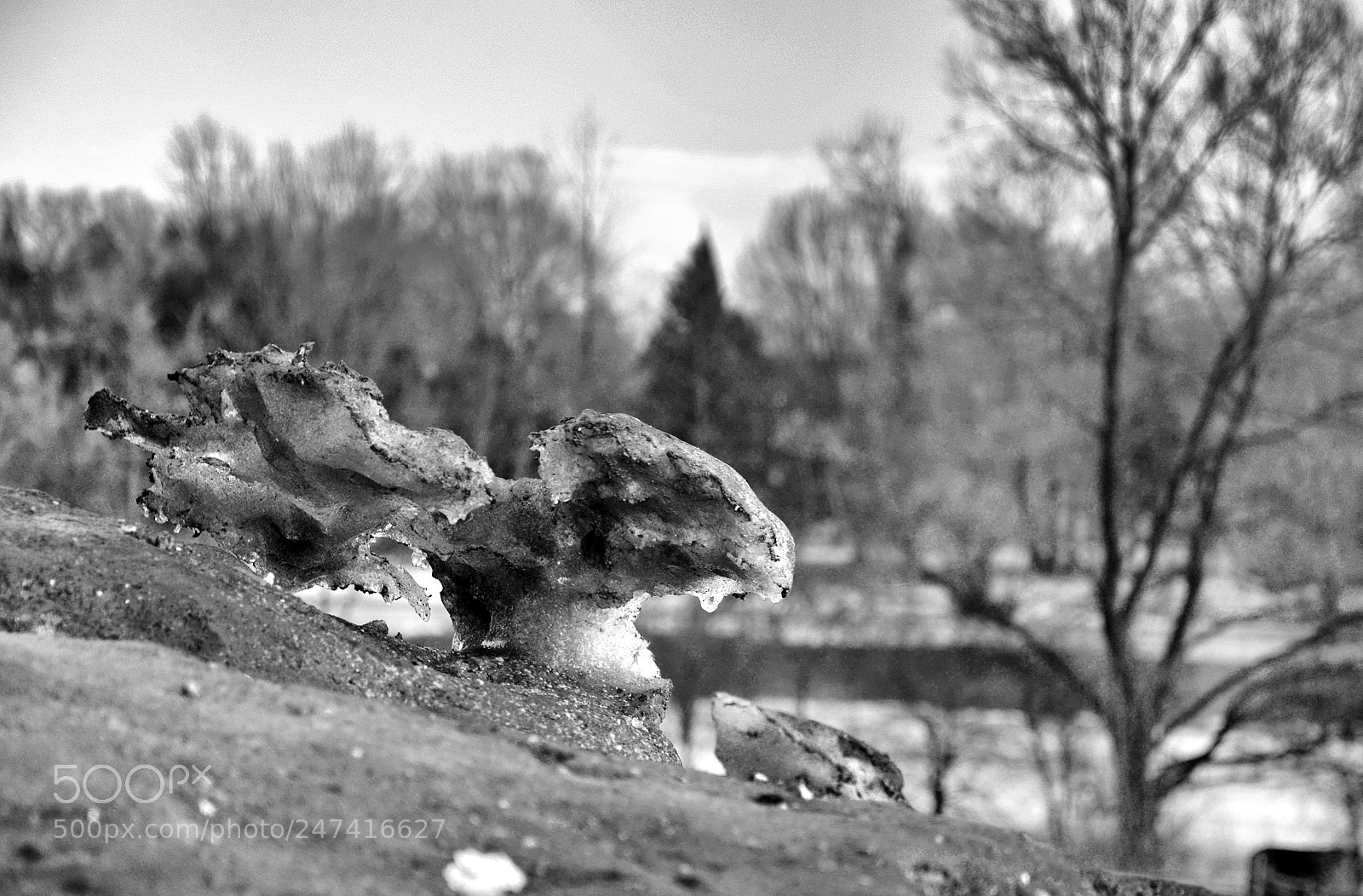 Nikon D610 sample photo. Perspective of winter photography