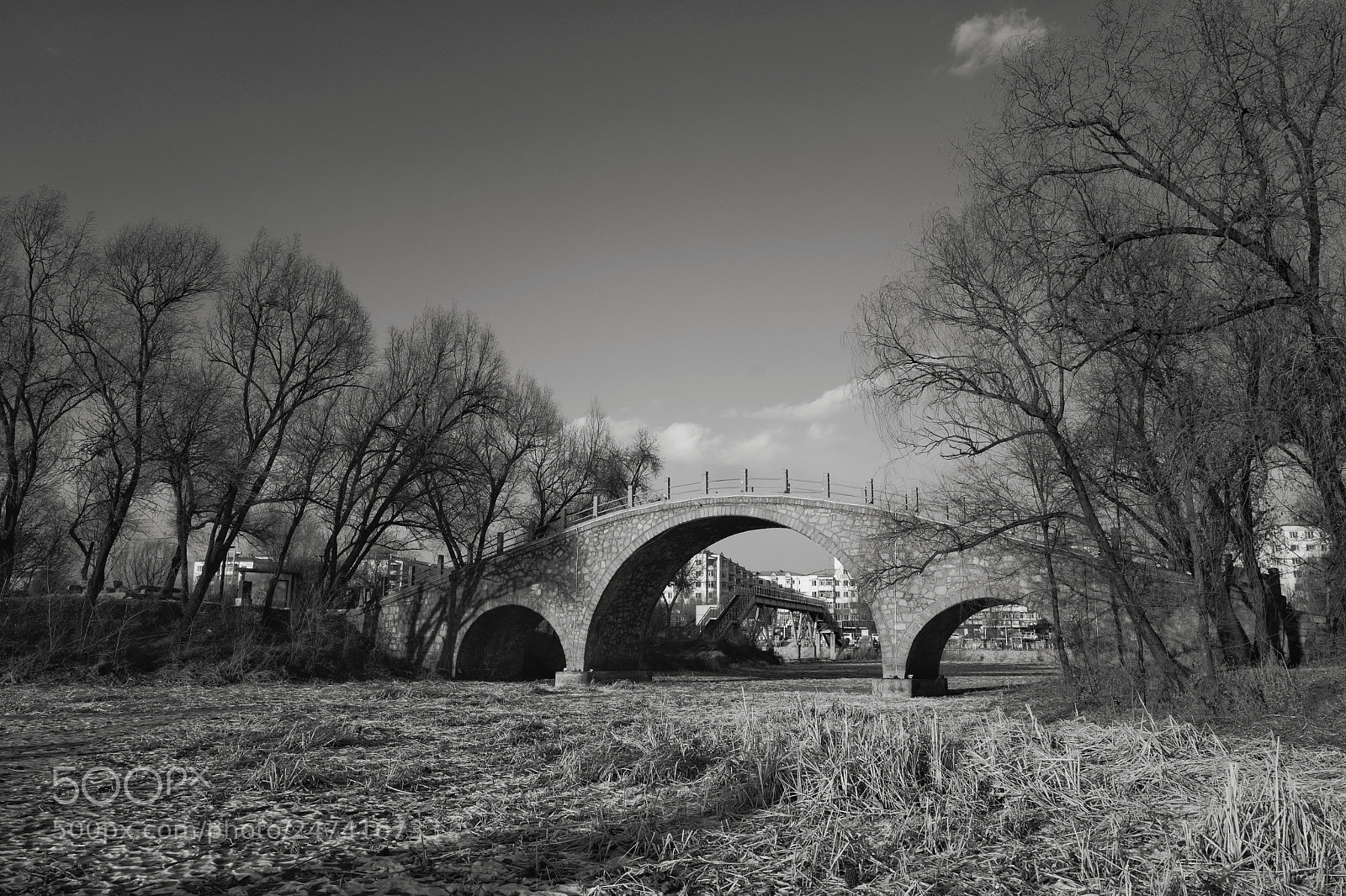 Leica Q (Typ 116) sample photo. Bridge photography