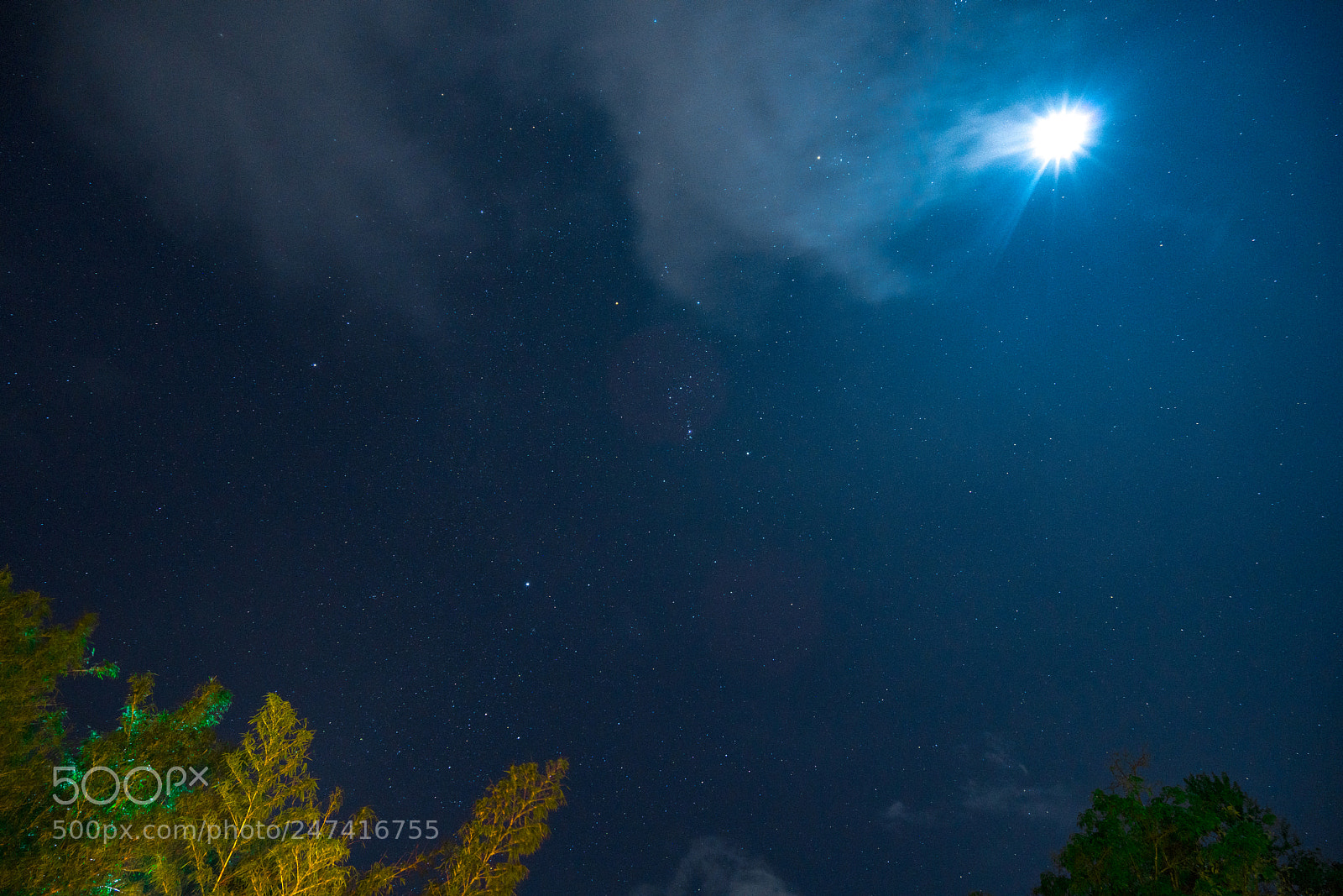 Sony a7R II sample photo. Star field at mountain photography