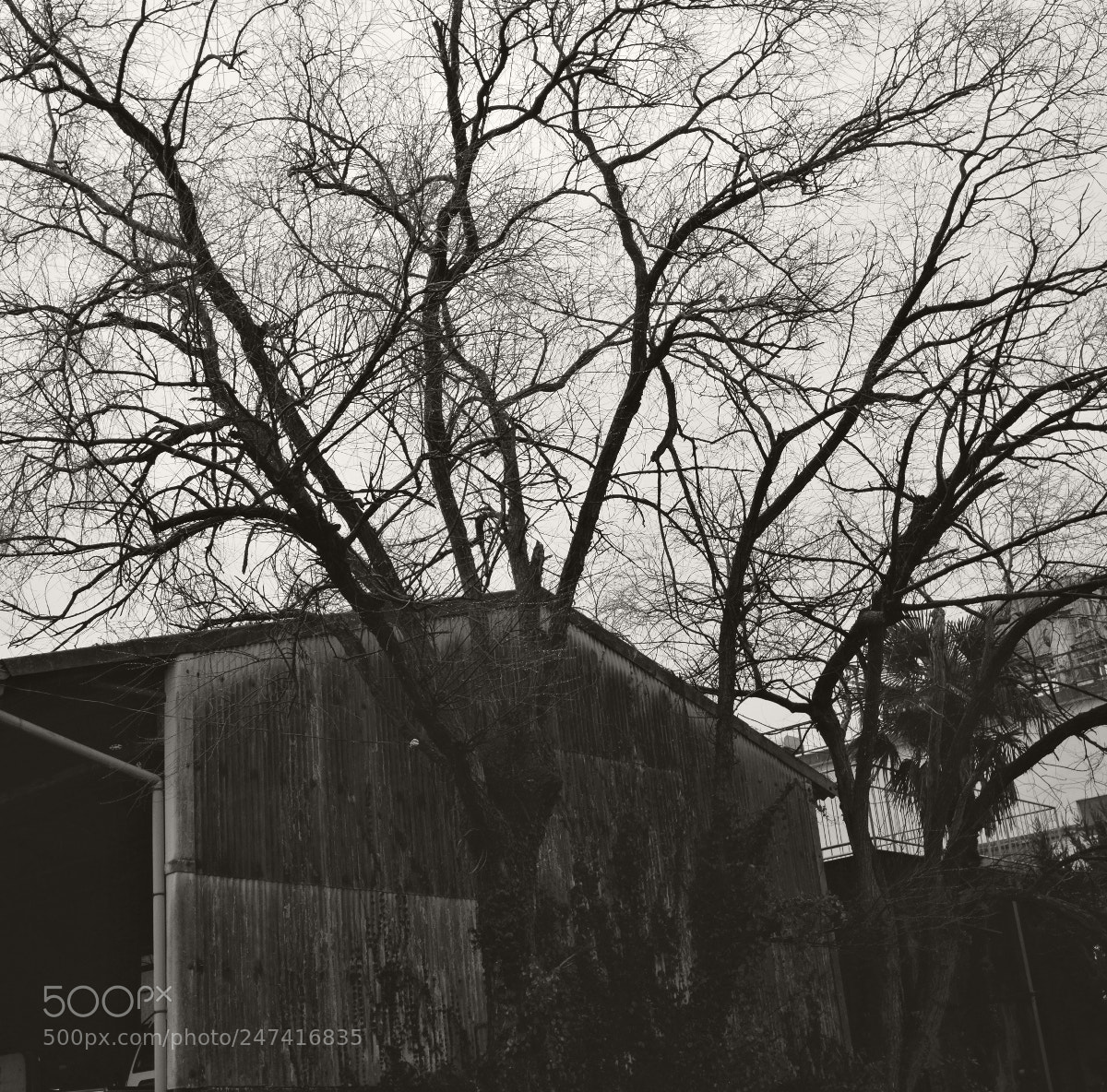 Fujifilm X-T2 sample photo. Untitled photography