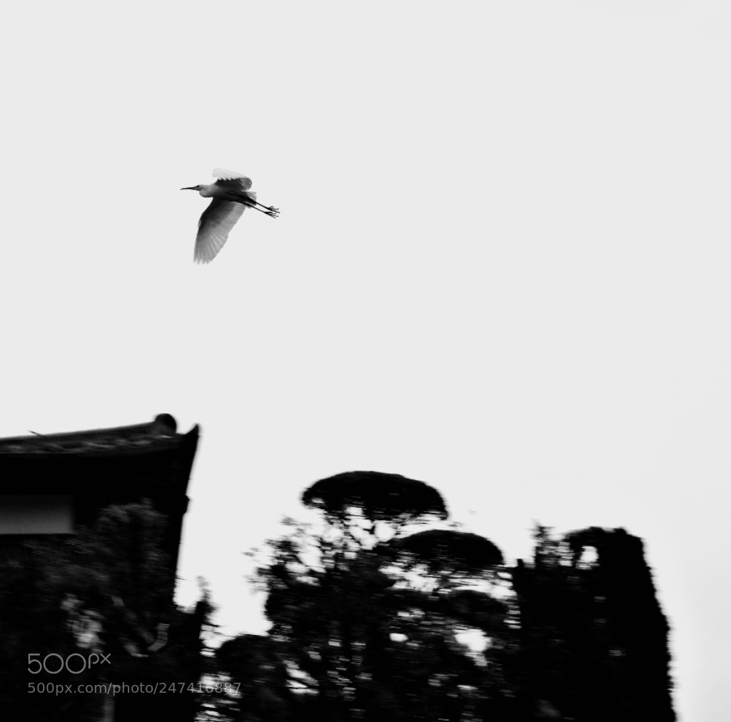 Fujifilm X-T2 sample photo. Untitled photography