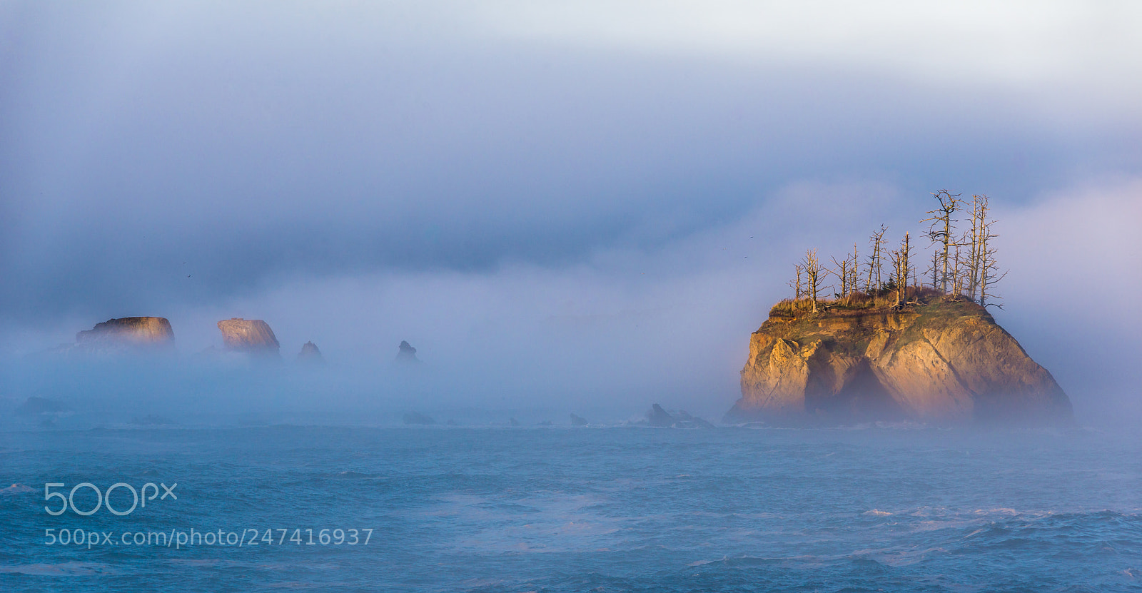 Nikon D800 sample photo. Island in the fog photography
