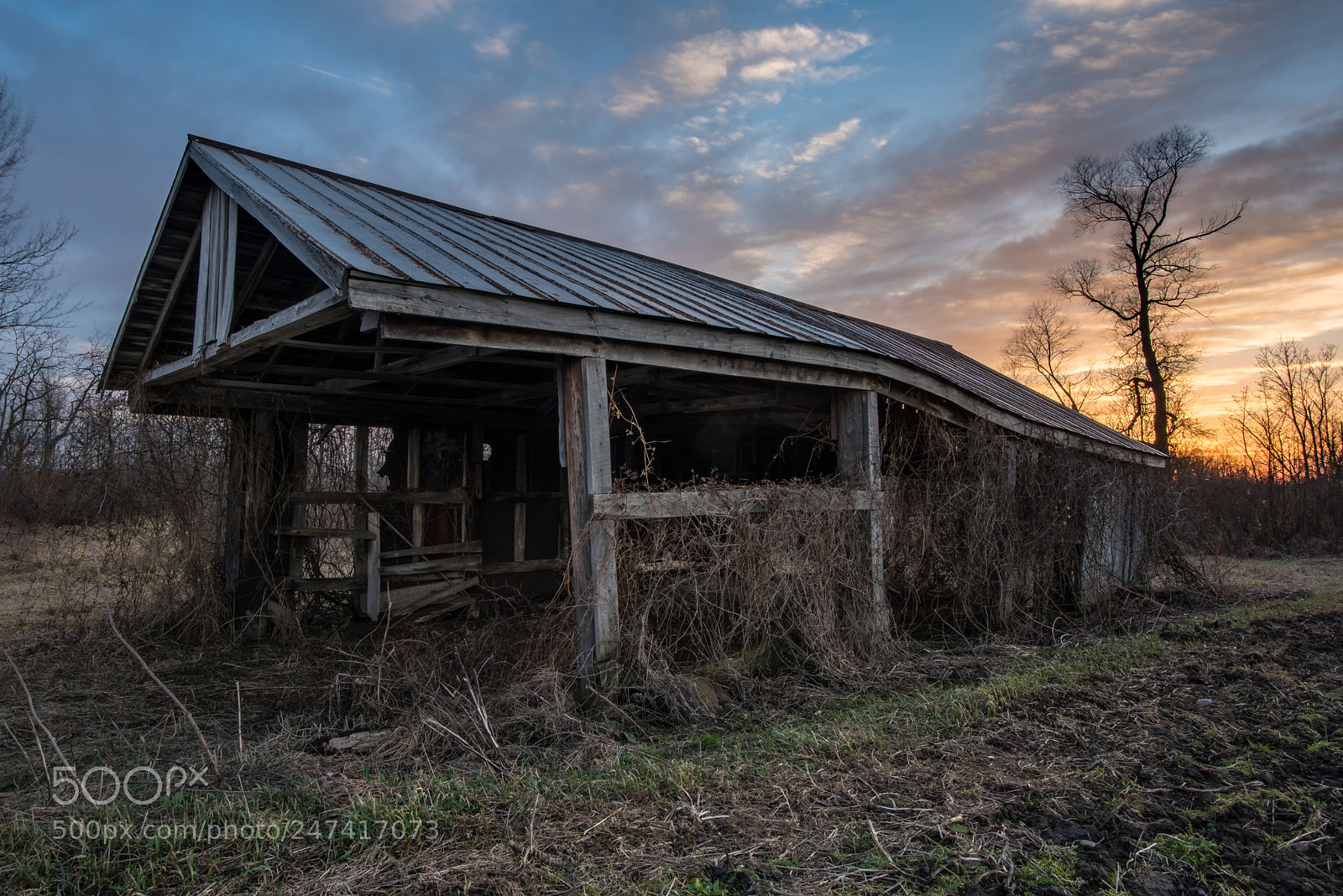 Nikon D810 sample photo. Country sunset photography