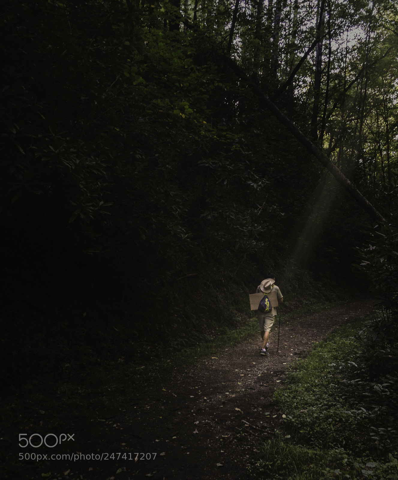 Nikon D5100 sample photo. A lonely path photography