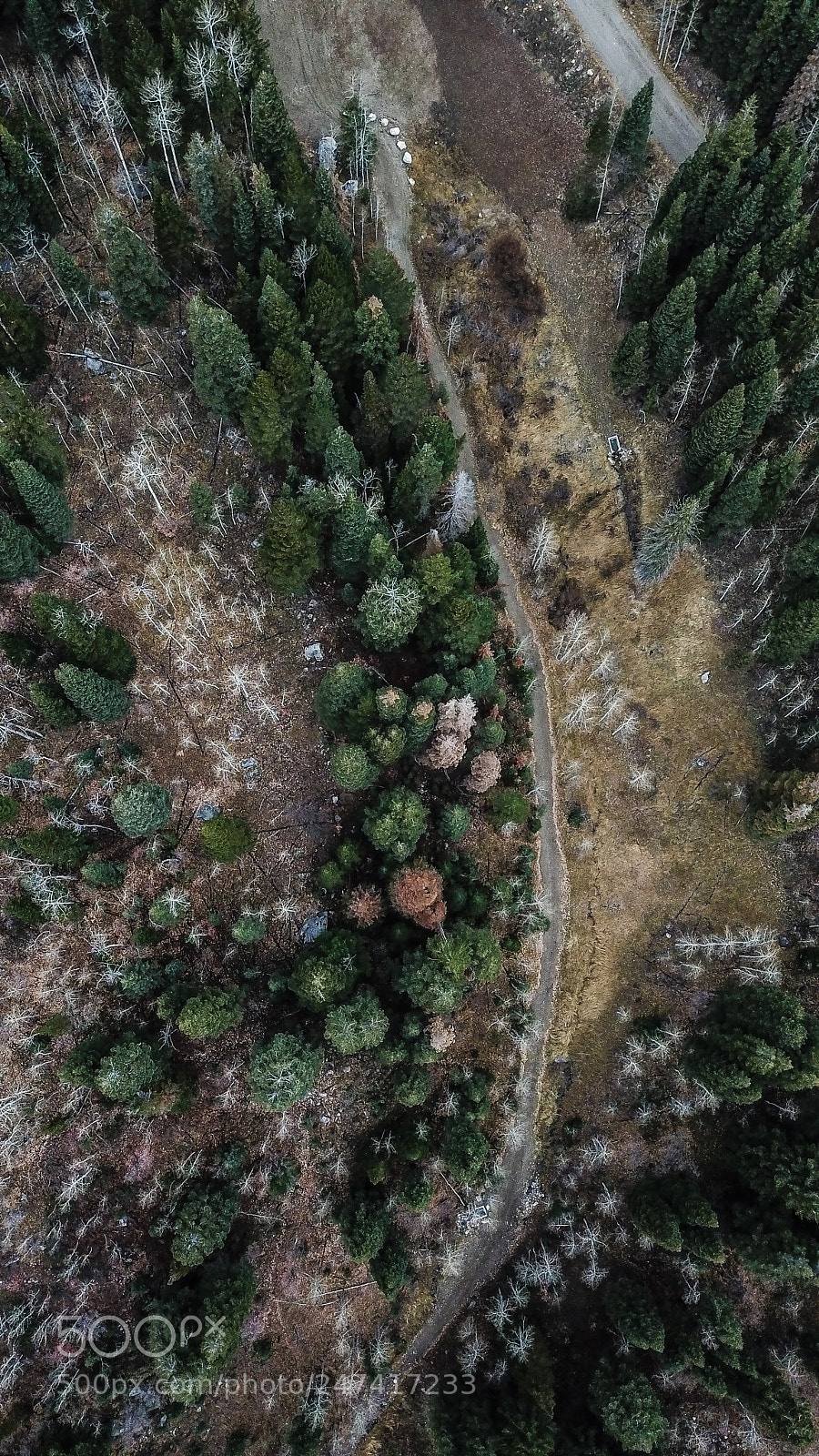 DJI FC220 sample photo. Untitled photography