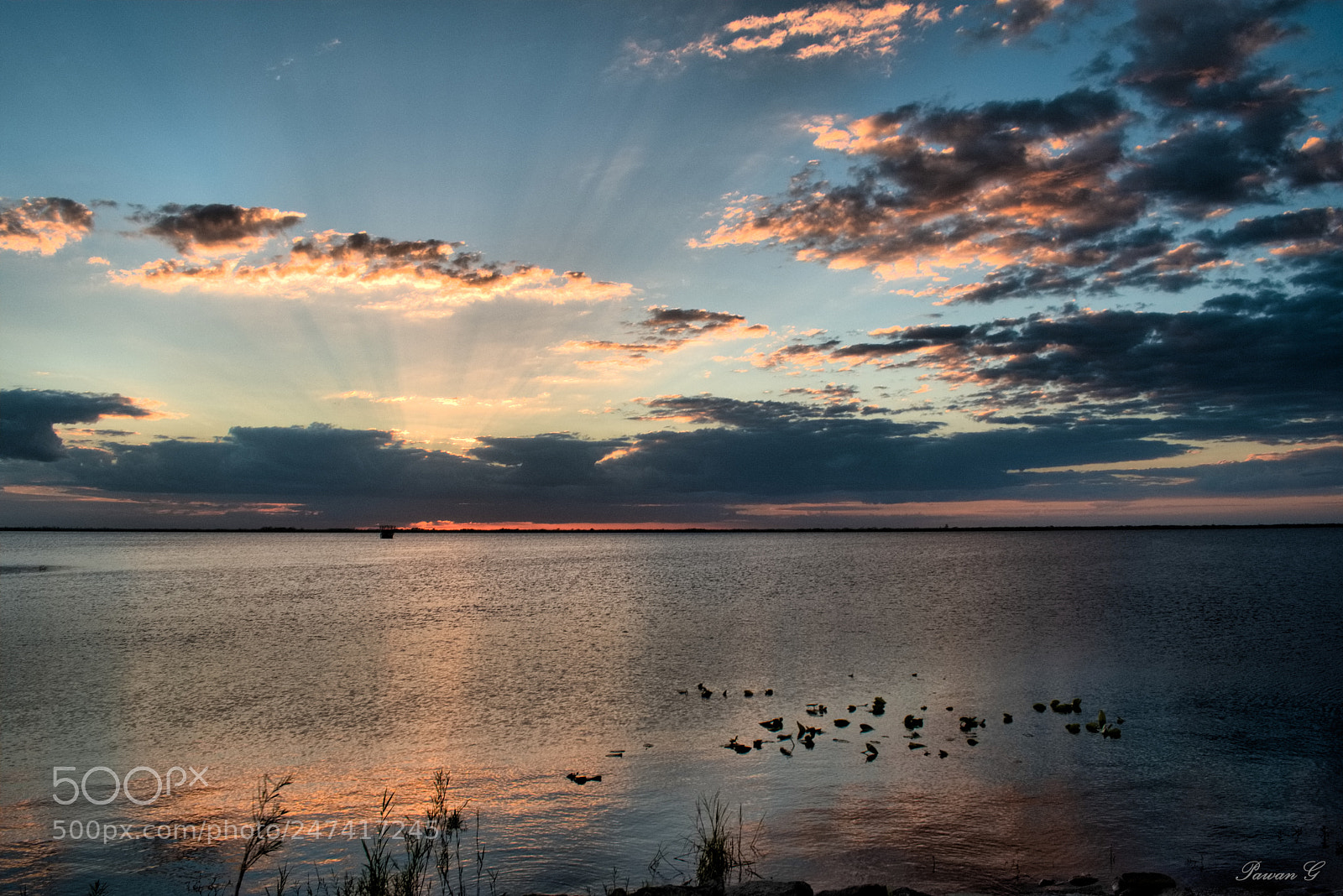 Nikon D3400 sample photo. Lake washington sunset photography