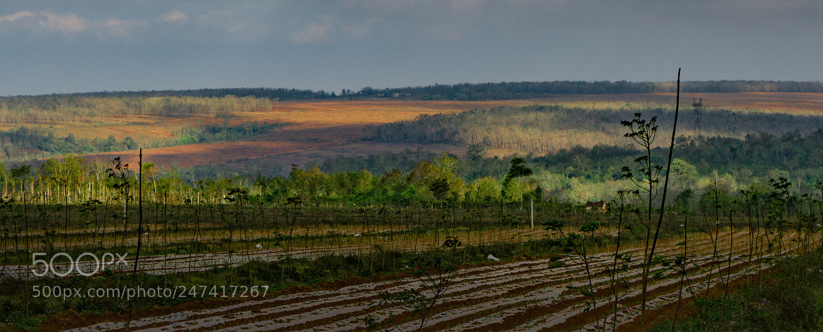 Sony a7R II sample photo. Morning on the hill photography