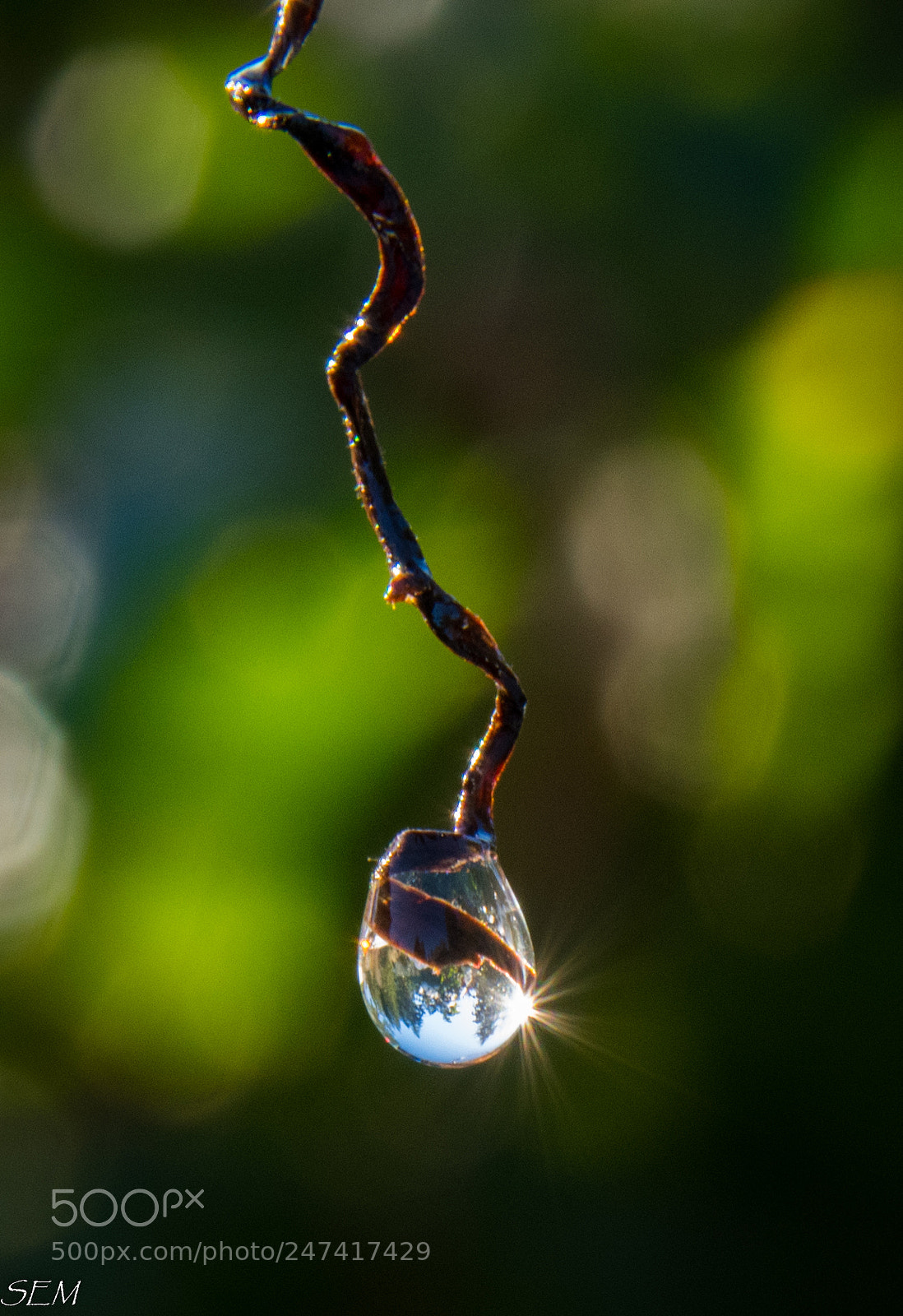 Nikon D850 sample photo. Danglefeb photography