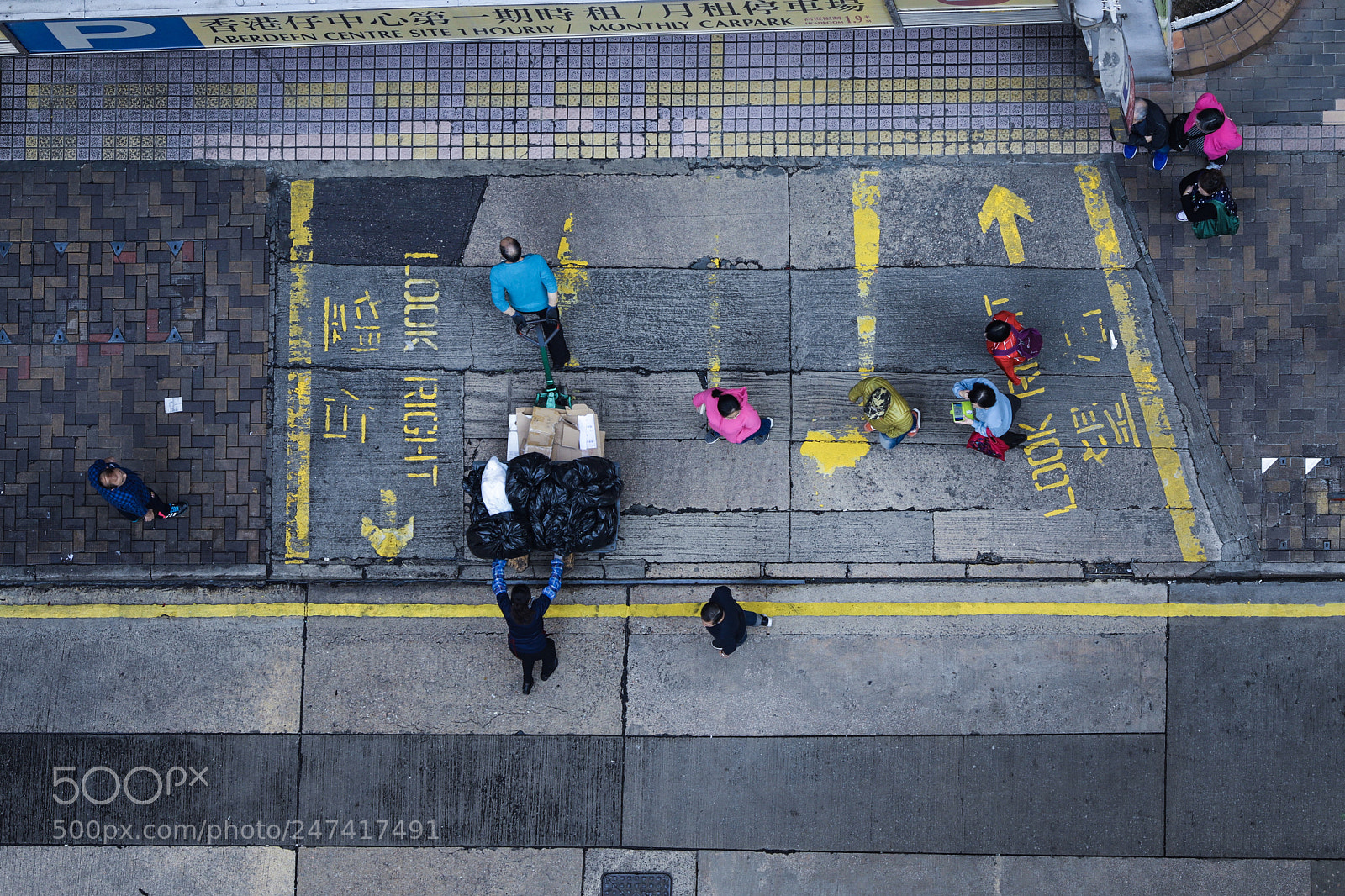 Canon EOS 6D Mark II sample photo. Ants #02 photography