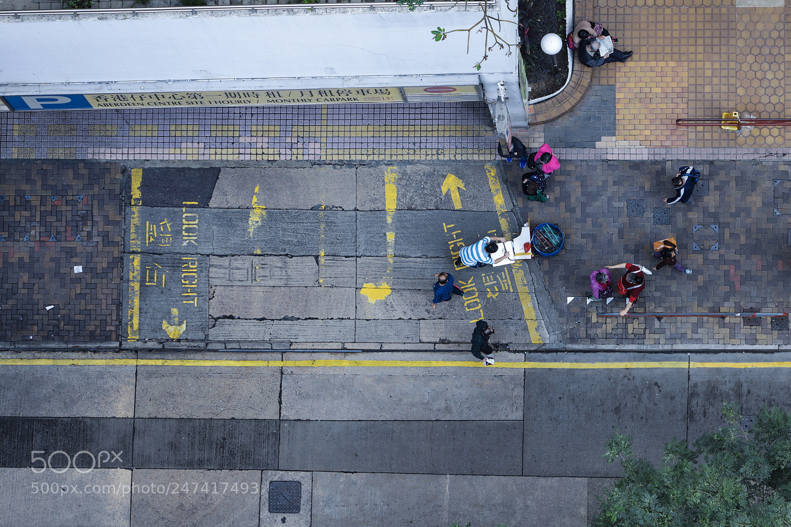 Canon EOS 6D Mark II sample photo. Ants #03 photography