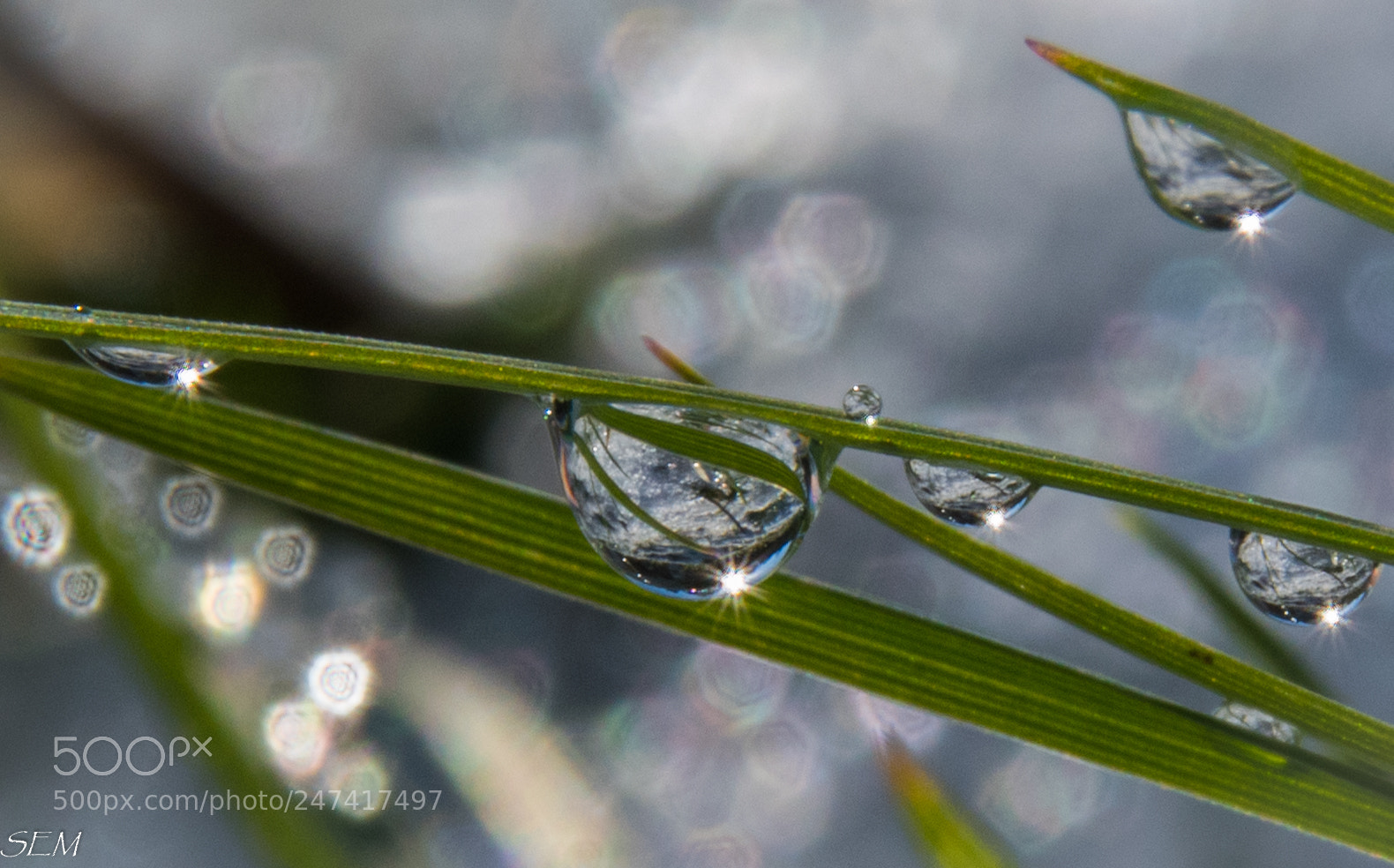 Nikon D850 sample photo. Snowglobesfeb photography
