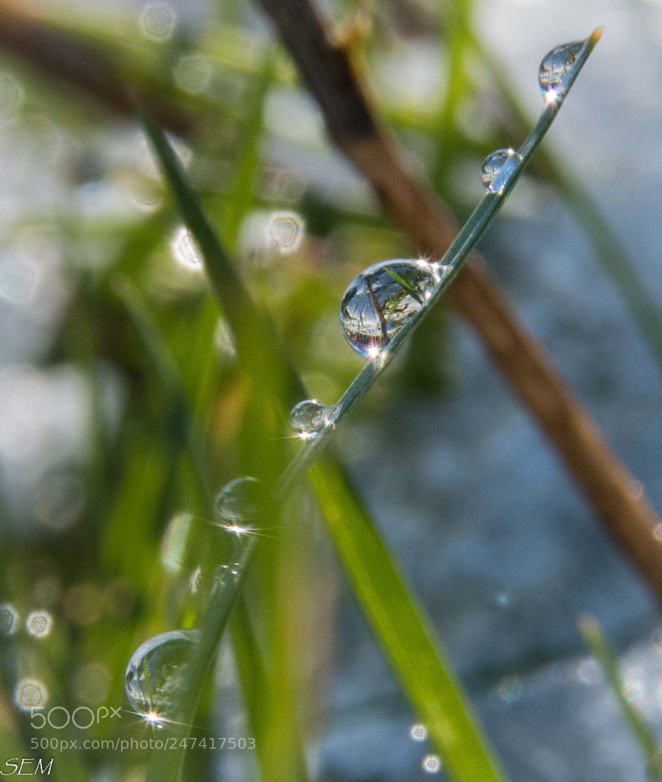 Nikon D850 sample photo. Snowglobesfeb photography