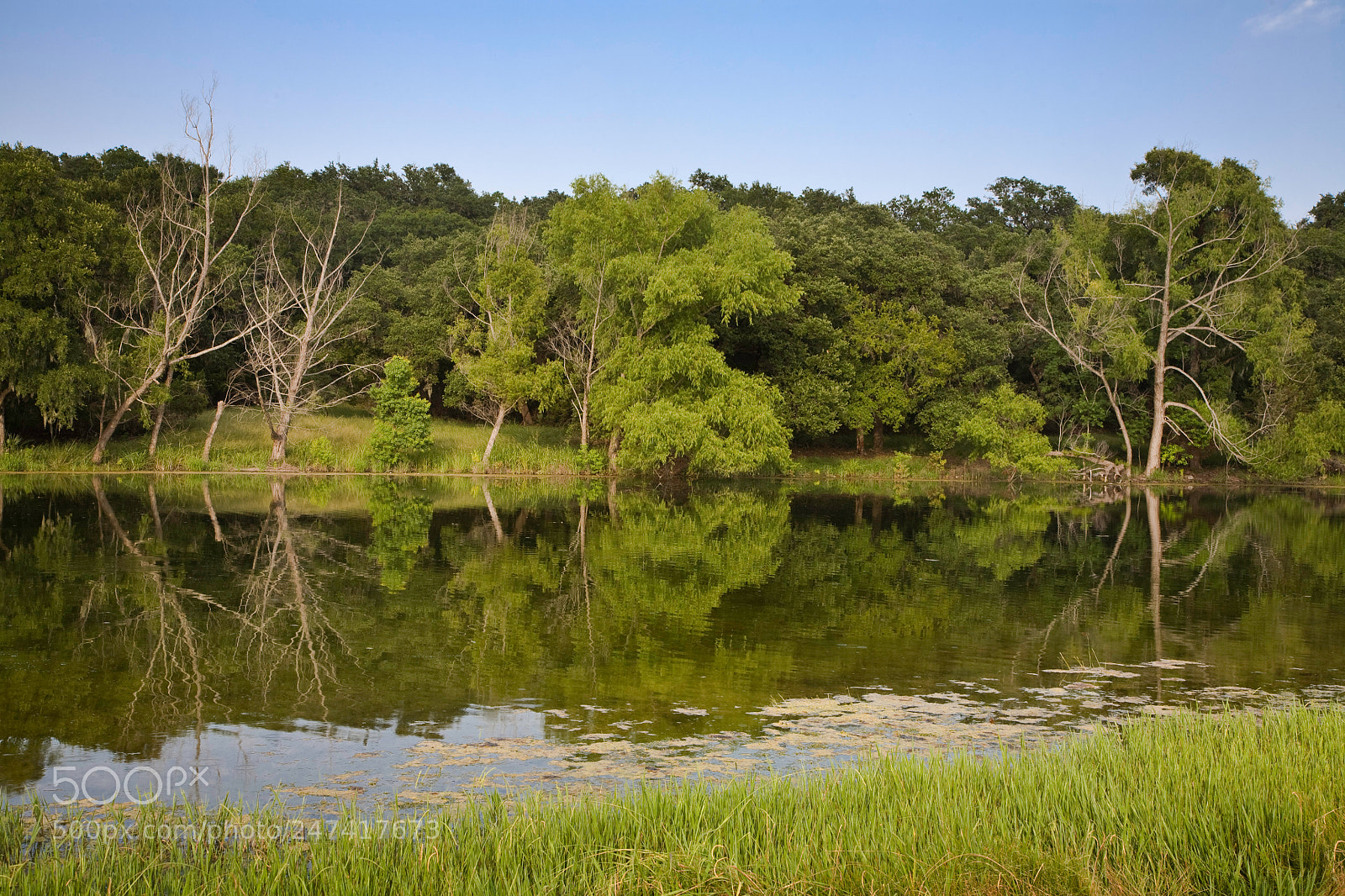 Canon EOS 5D sample photo. Untitled photography