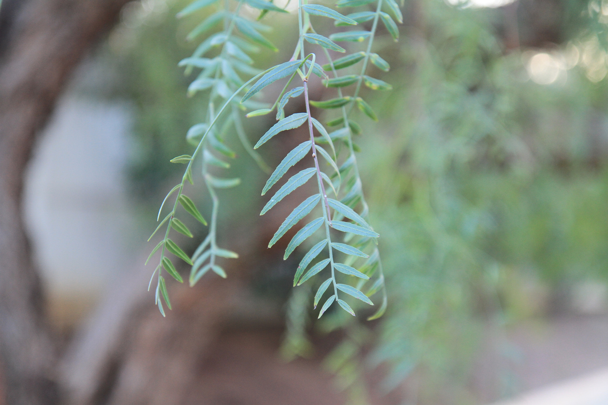 Canon EF-S 17-55mm F2.8 IS USM sample photo. Img photography