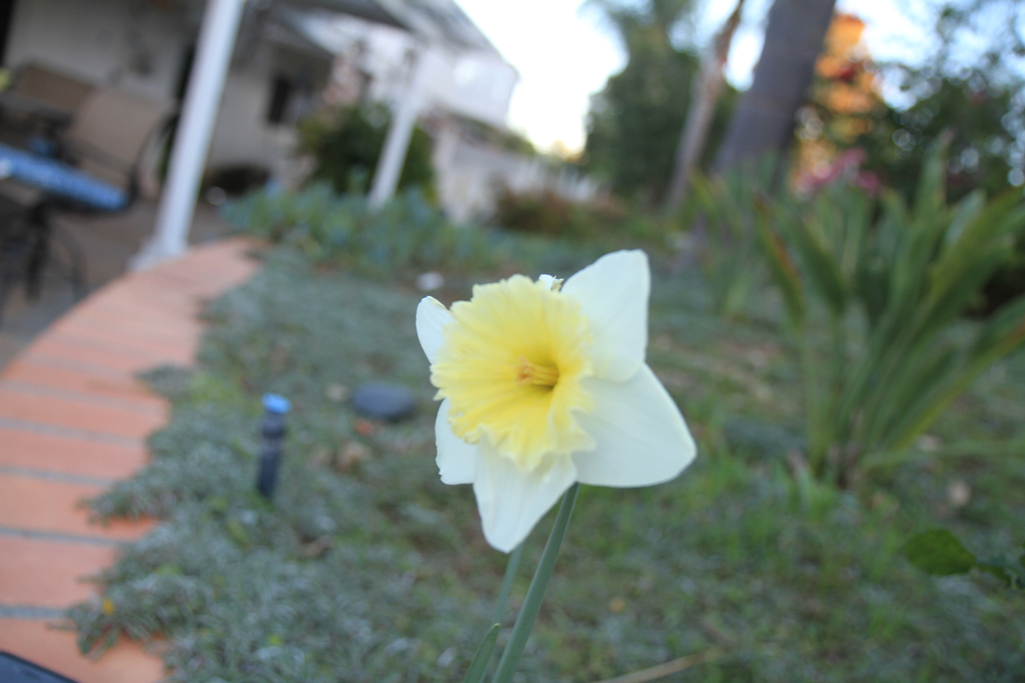 Canon EF-S 17-55mm F2.8 IS USM sample photo