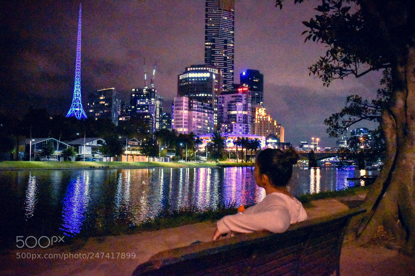 Nikon D5600 sample photo. Goodnight melbourne photography